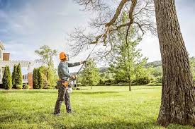Landscape Design and Installation in Danville, IL