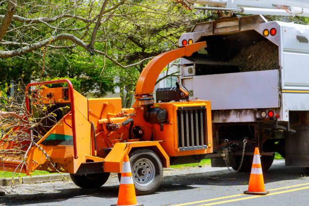 Best Hazardous Tree Removal  in Danvle, IL